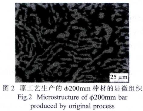 1687098095639270.jpg t2.jpg