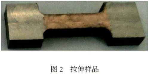 1708335803617530.jpg t2.jpg